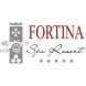 Fortina
