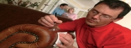 Precision repair to a leather sofa