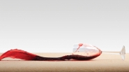 ServiceMaster Clean Wine Spill